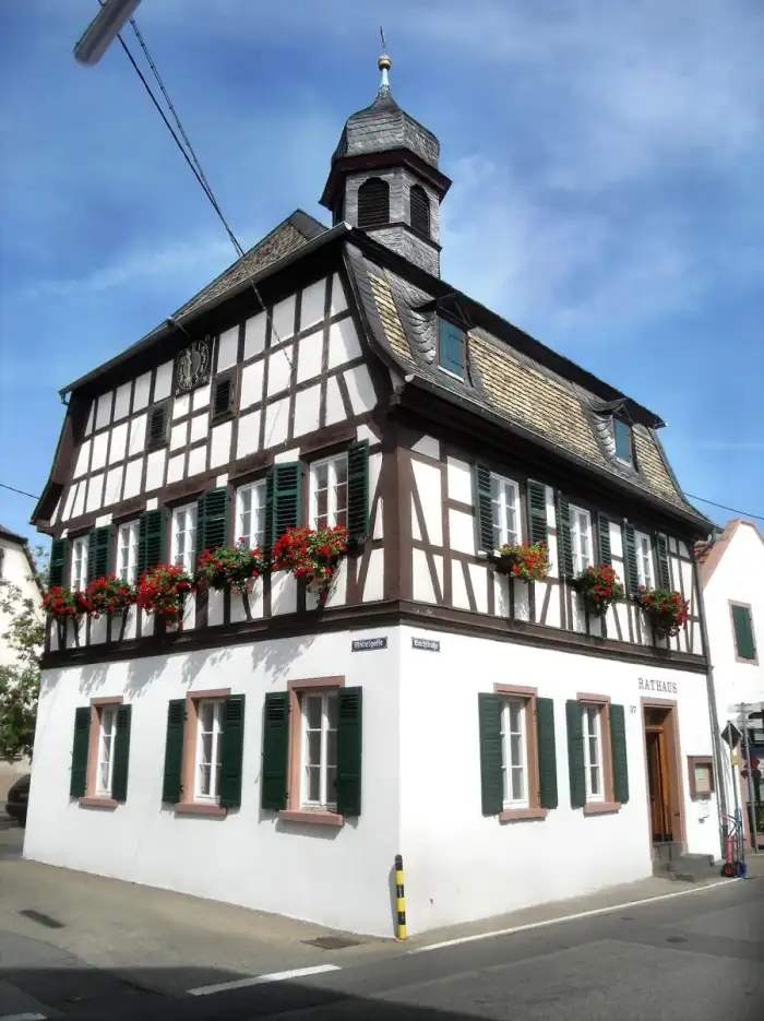 Alsheim, Ausschnitt