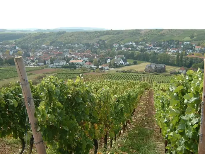 Guldental, Ausschnitt