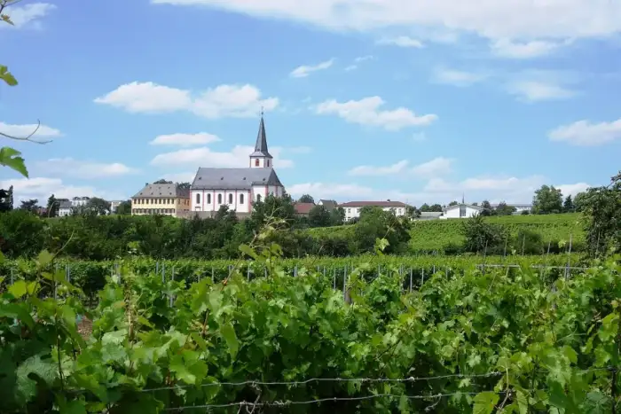 Hochheim am Main, Ausschnitt