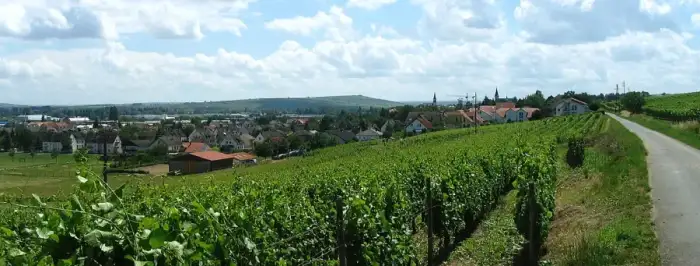 Langenlonsheim, Ausschnitt