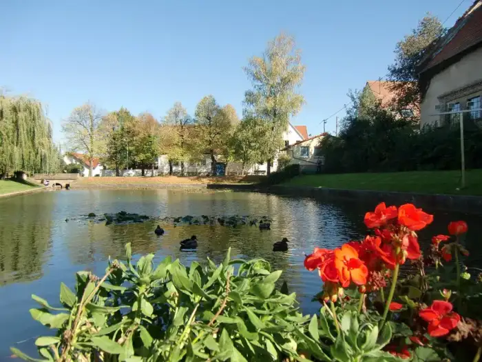 Mörstadt, Ausschnitt