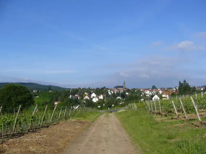 Weiler bei Bingen, Ausschnitt