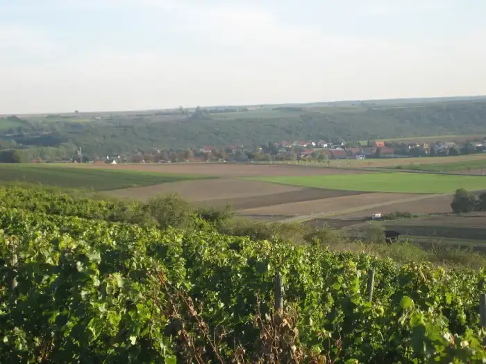 Wendelsheim, Ausschnitt