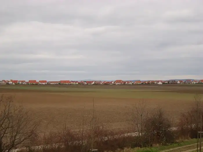 Wöllstein, Ausschnitt